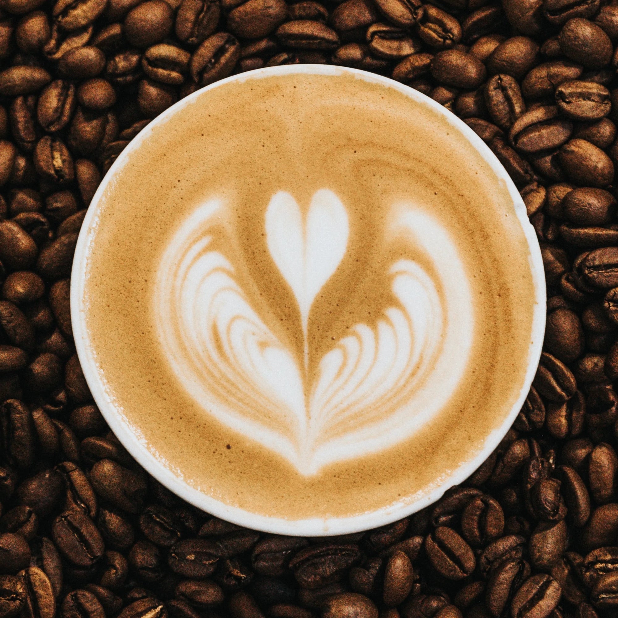 Sip Sustainably | Oscea