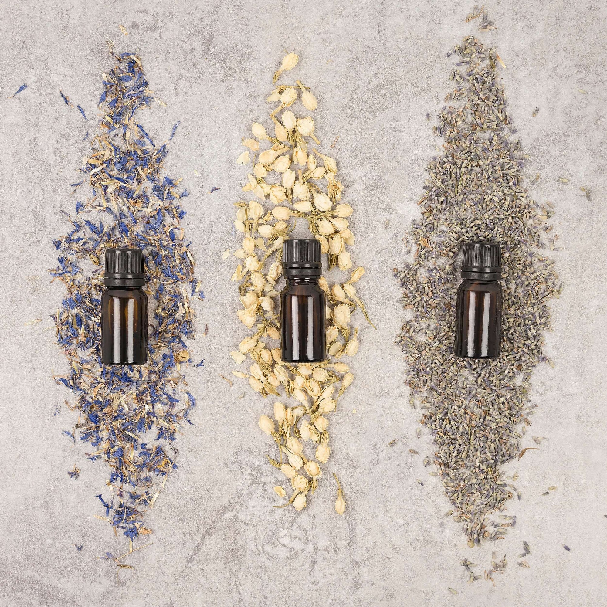 what is holistic health | OSCEA