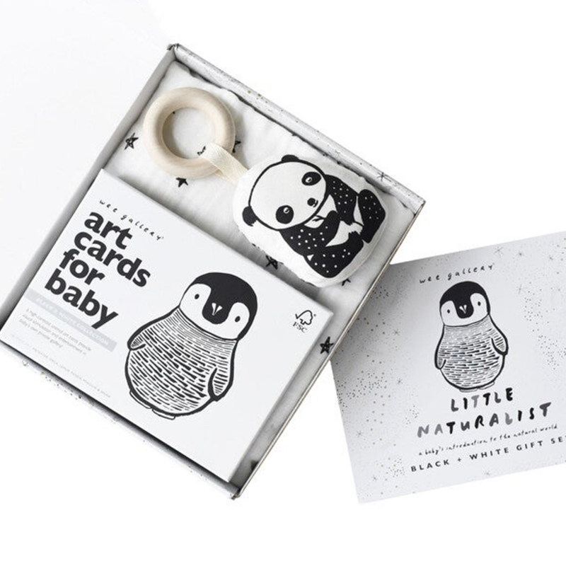 Wee Gallery Little Naturalist Gift Set | Oscea Sustainable Gifts for Kids