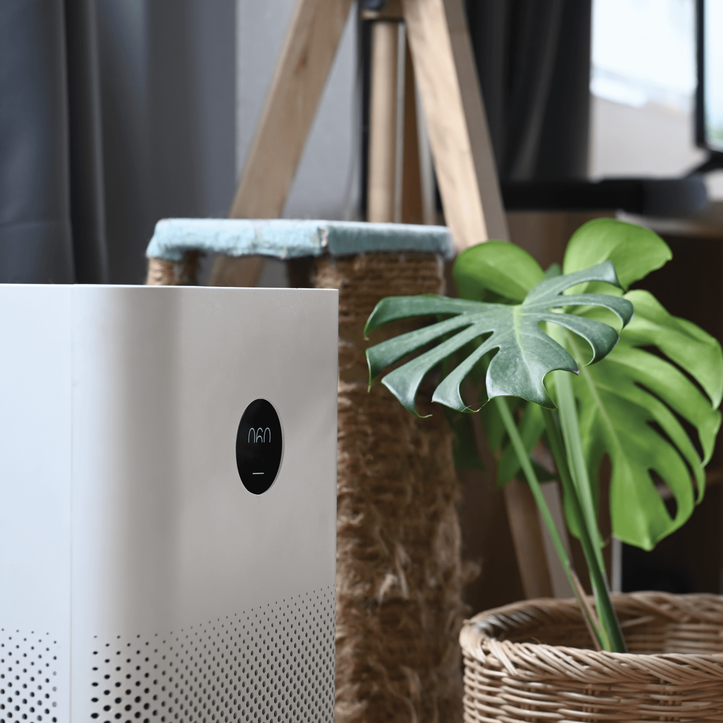 Best HEPA Air Purifiers for Your Home | Oscea