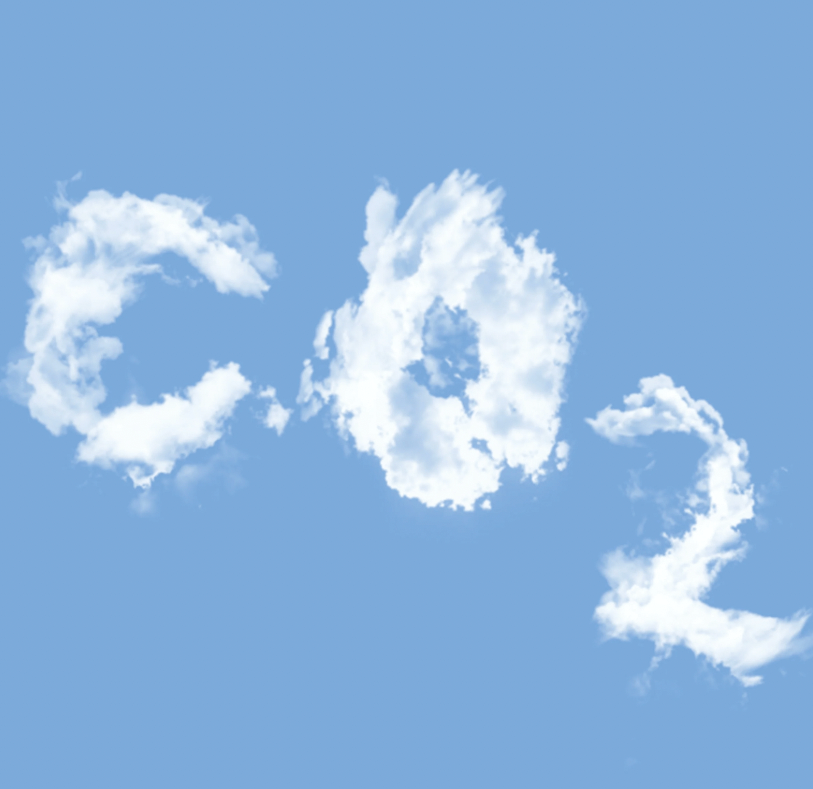 carbon neutral vs net zero | OSCEA